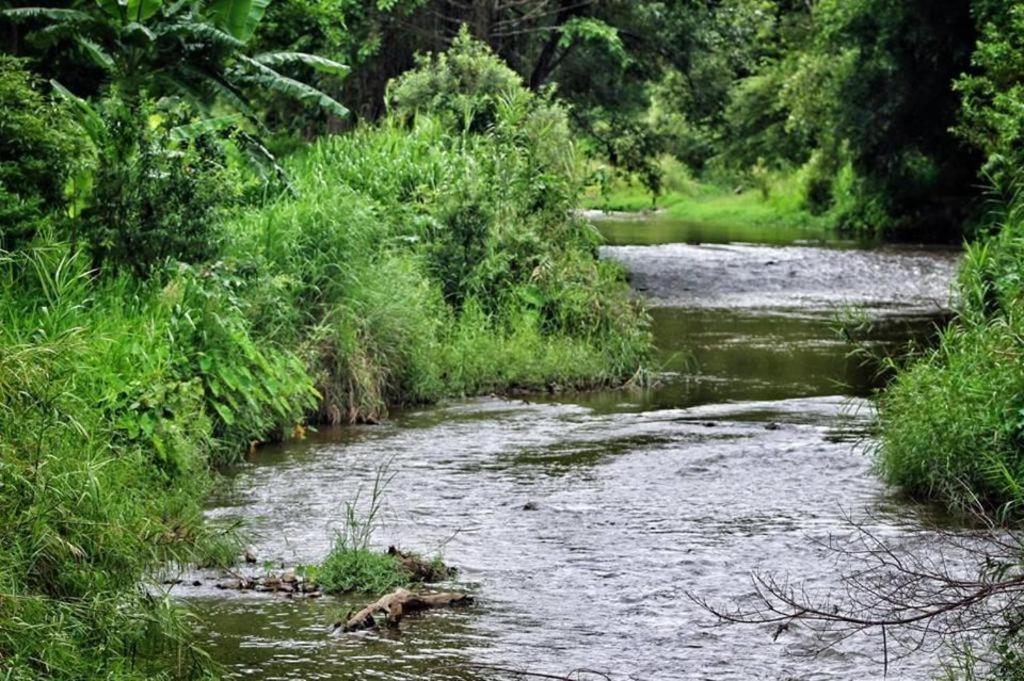 Umphangburiresort المظهر الخارجي الصورة